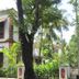 Cảnh ngoài trời