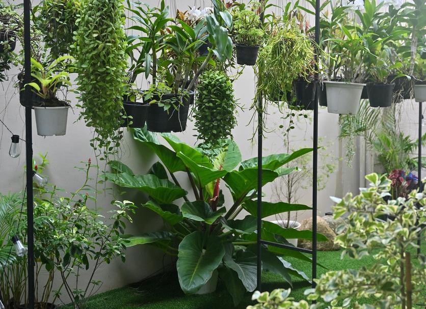 Cảnh ngoài trời Ảnh
