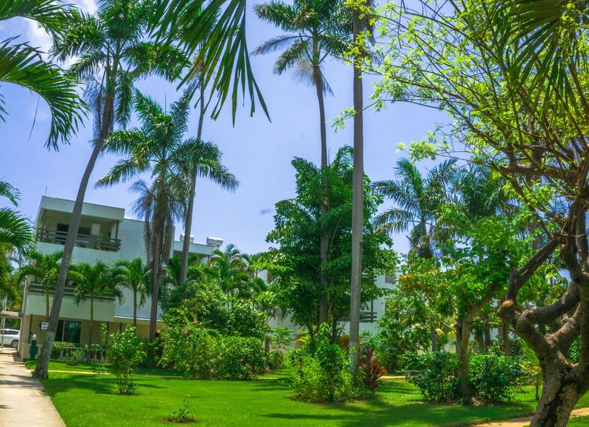 Cảnh ngoài trời Ảnh