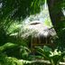 Cảnh ngoài trời
