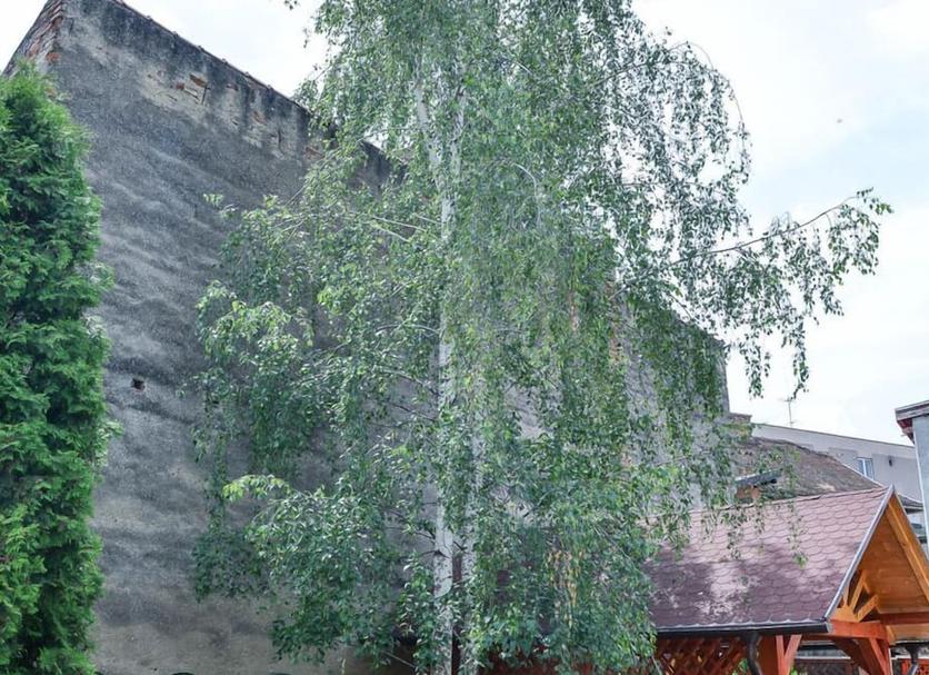 Cảnh ngoài trời Ảnh