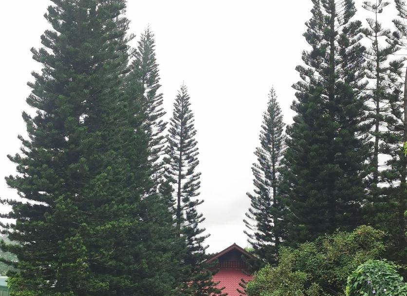 Cảnh ngoài trời Ảnh