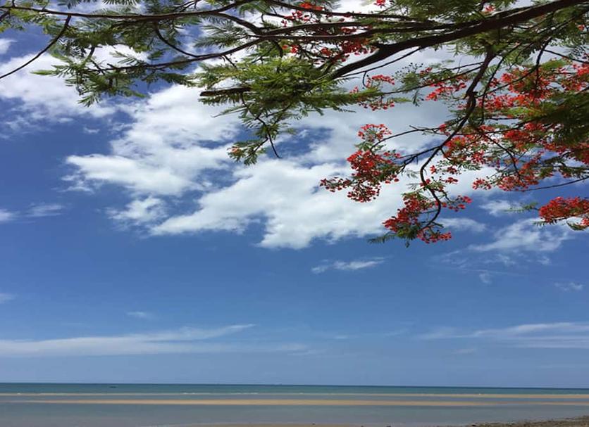 Cảnh ngoài trời Ảnh