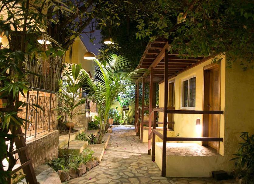 Cảnh ngoài trời Ảnh