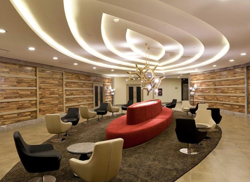 Lounge Ảnh