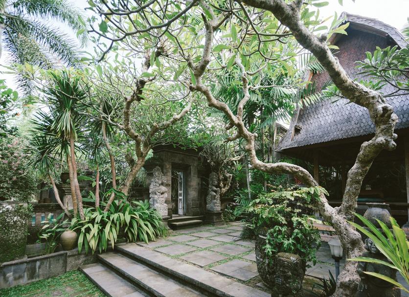 Cảnh ngoài trời Ảnh