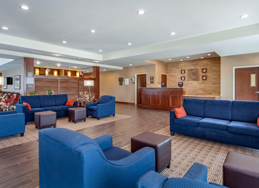 Lounge Ảnh