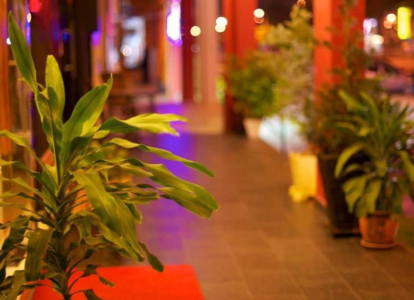 Cảnh ngoài trời Ảnh