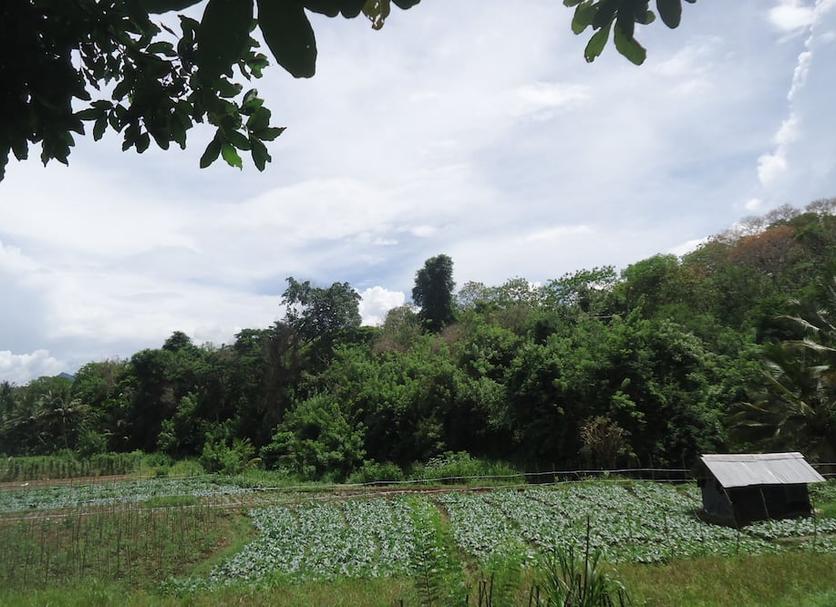 Cảnh ngoài trời Ảnh