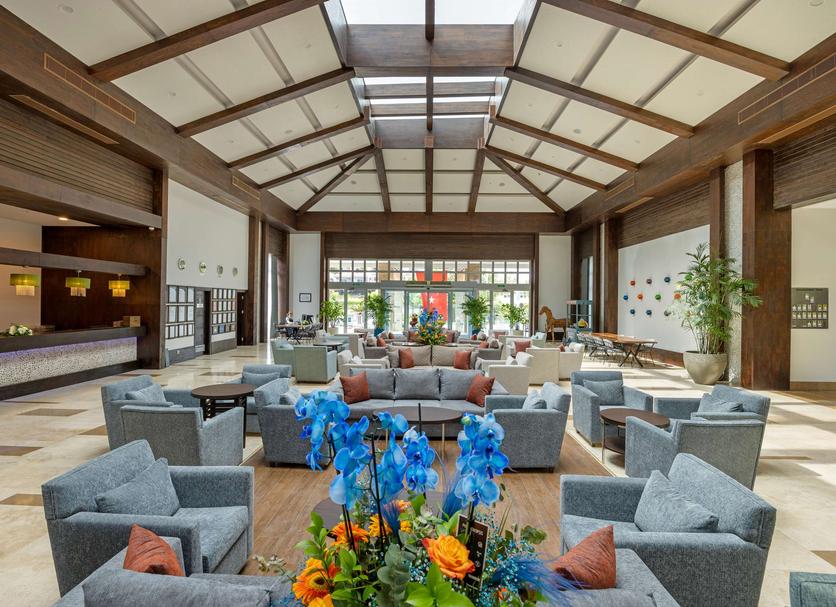 Lounge Ảnh