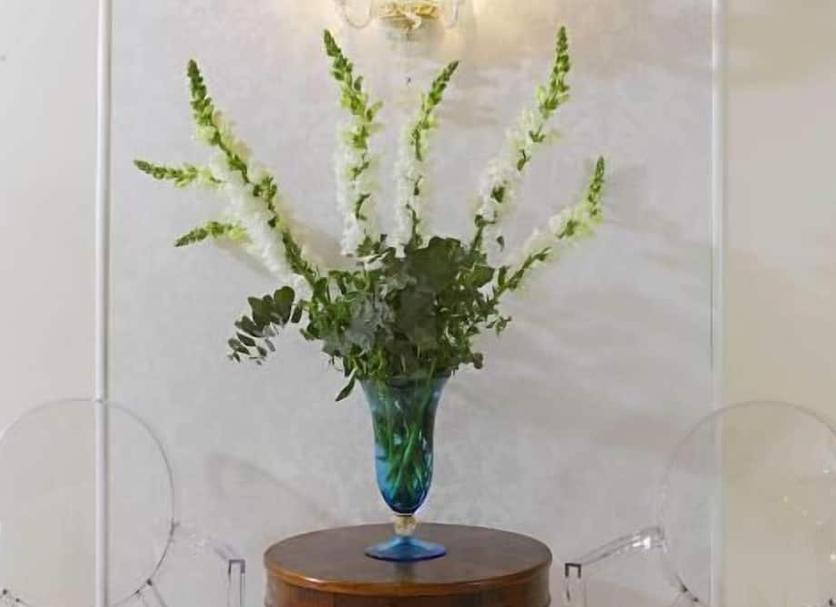 Tiện nghi trong phòng Ảnh