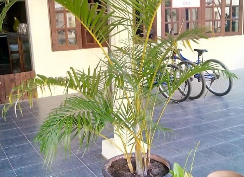 Cảnh ngoài trời Ảnh
