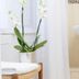 Khác