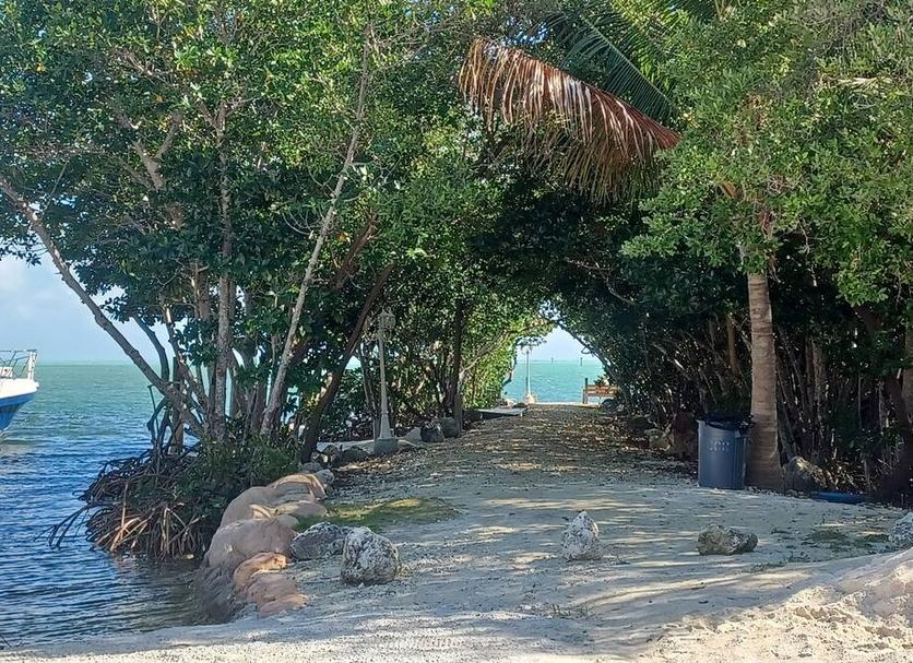 Cảnh ngoài trời Ảnh