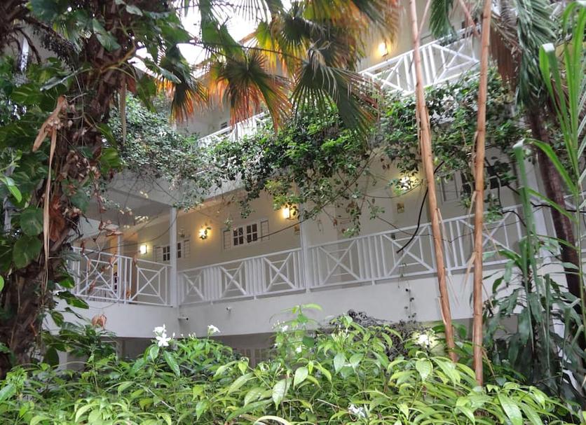 Cảnh ngoài trời Ảnh