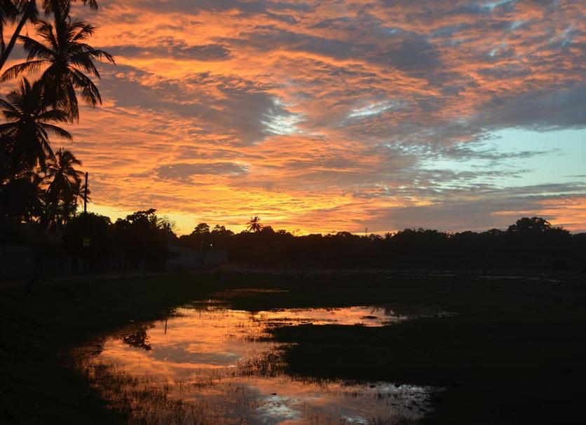 Cảnh ngoài trời Ảnh