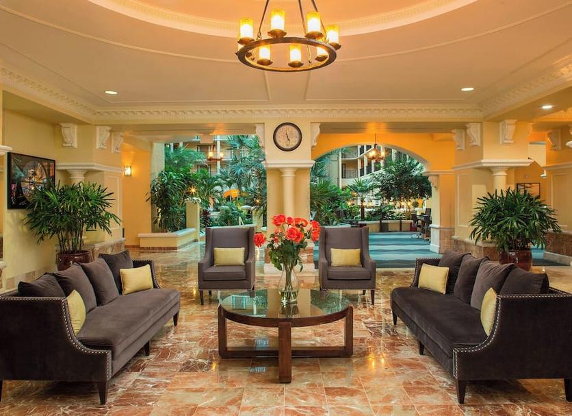 Lounge Ảnh