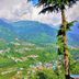 Cảnh ngoài trời