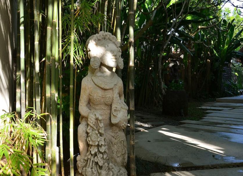 Cảnh ngoài trời Ảnh