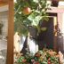 Khác