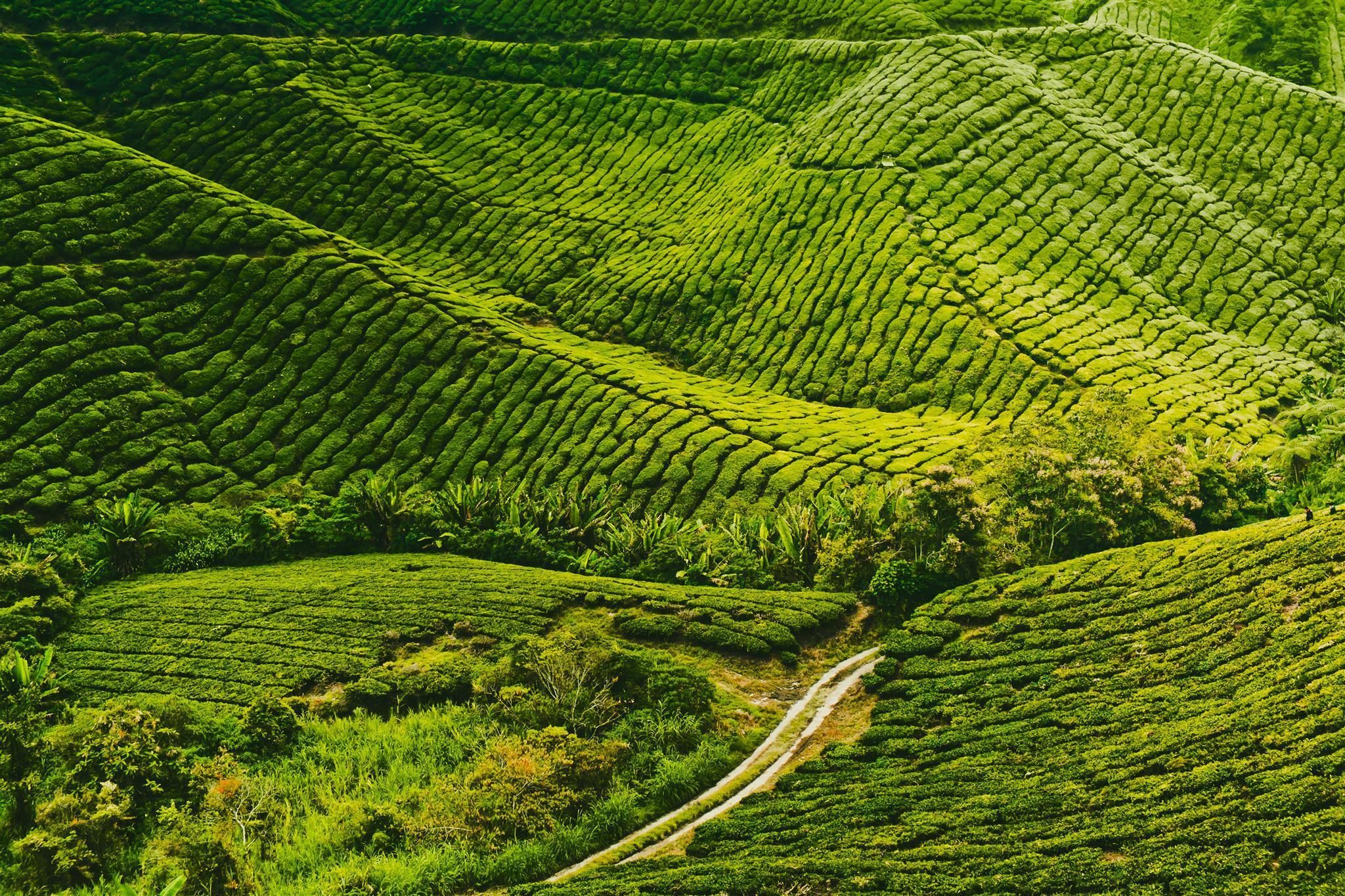 Cảnh ngoài trời