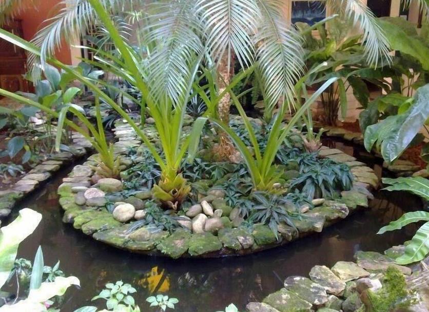 Cảnh ngoài trời Ảnh