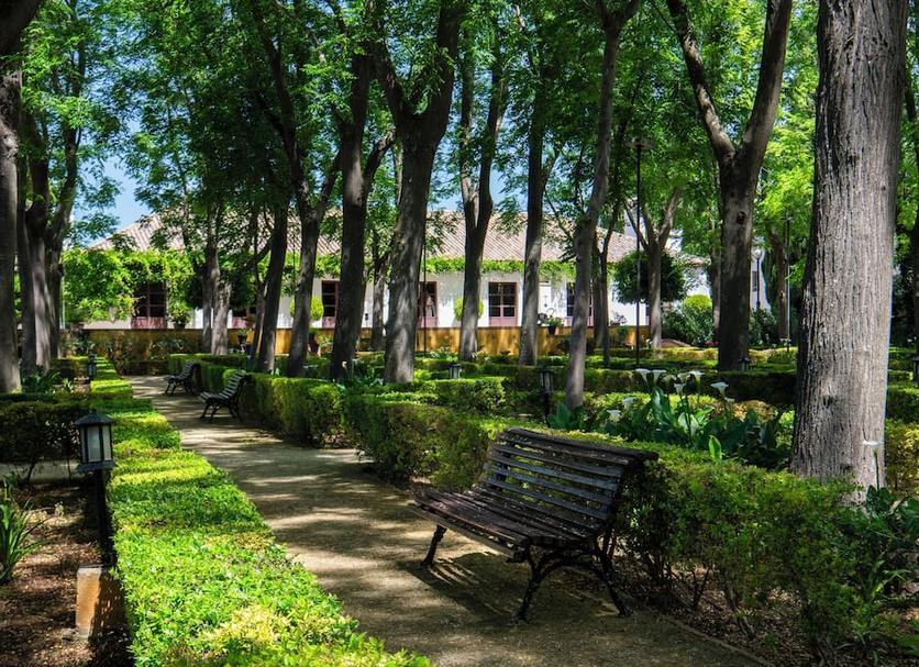 Cảnh ngoài trời Ảnh