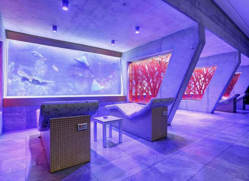 Hotel amenity Ảnh