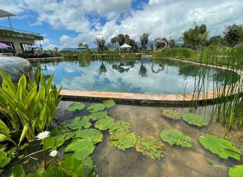 Cảnh ngoài trời Ảnh