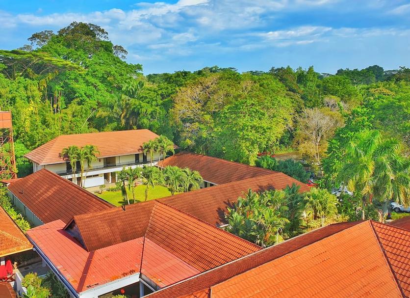 Cảnh ngoài trời Ảnh