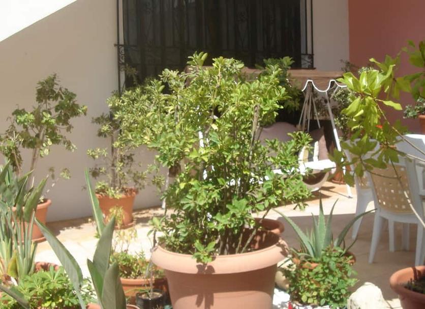 Cảnh ngoài trời Ảnh
