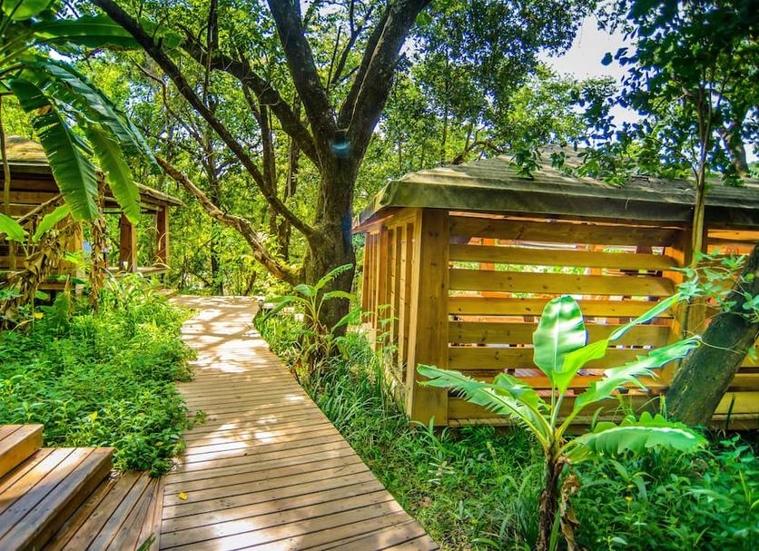 Cảnh ngoài trời Ảnh