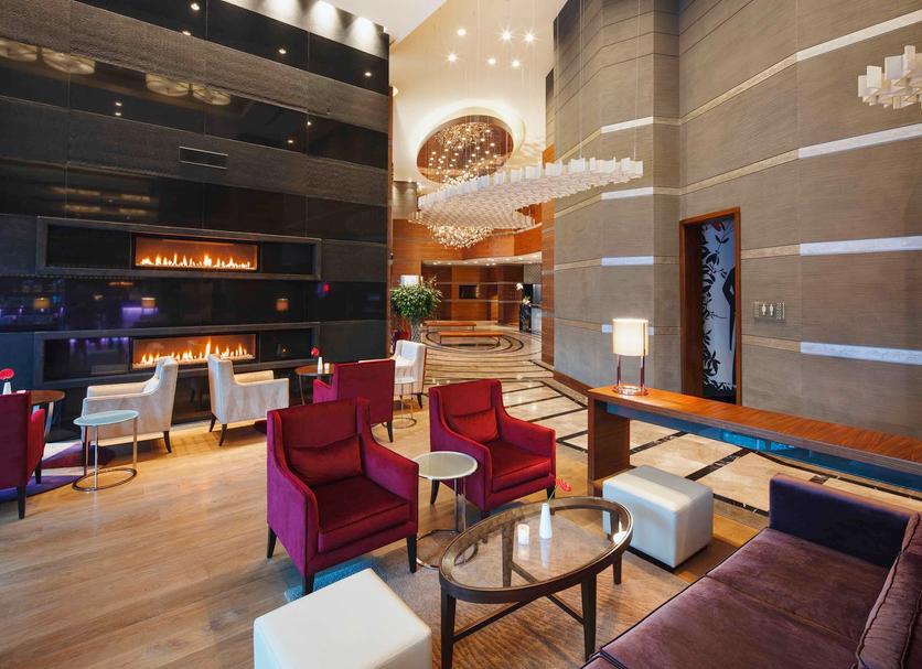 Lounge Ảnh