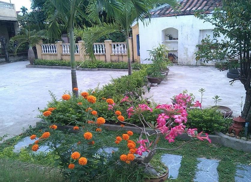 Cảnh ngoài trời Ảnh
