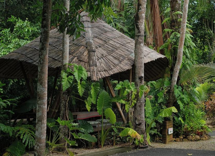 Cảnh ngoài trời Ảnh