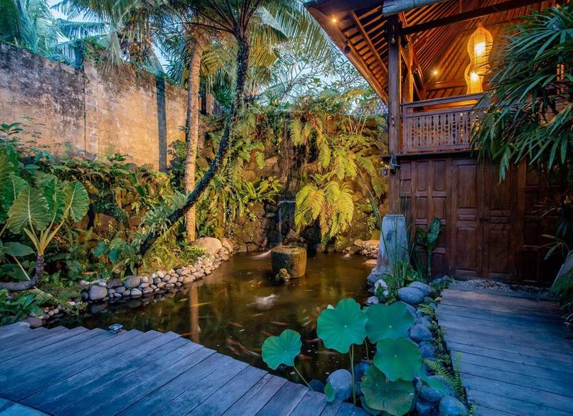 Cảnh ngoài trời Ảnh