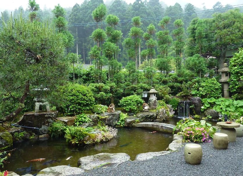 Cảnh ngoài trời Ảnh