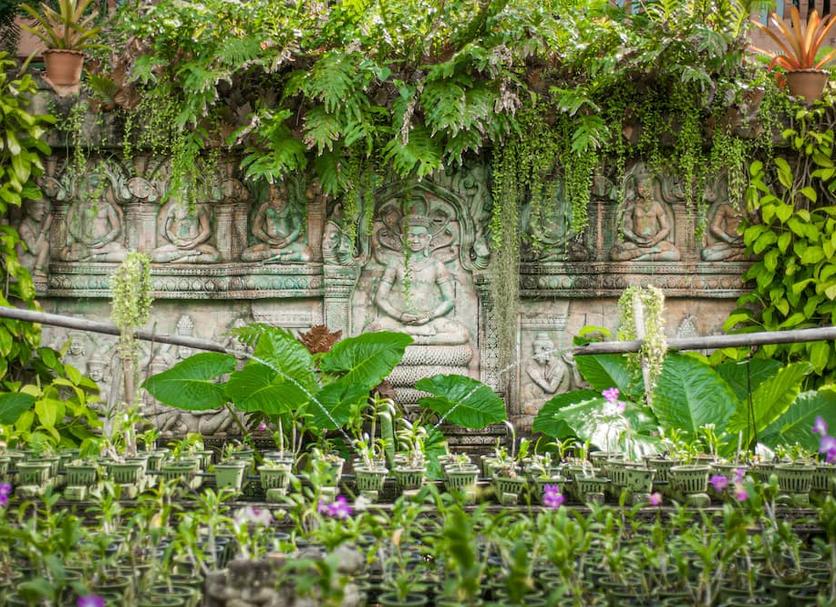 Cảnh ngoài trời Ảnh