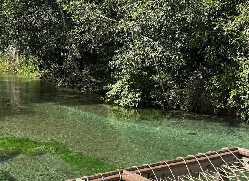 Cảnh ngoài trời Ảnh
