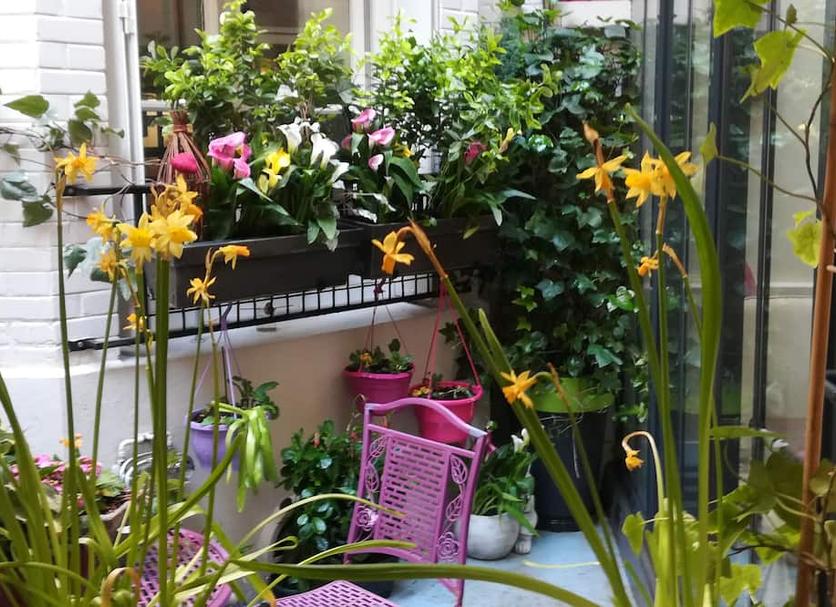 Cảnh ngoài trời Ảnh