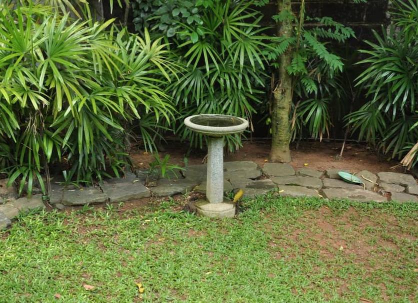 Cảnh ngoài trời Ảnh