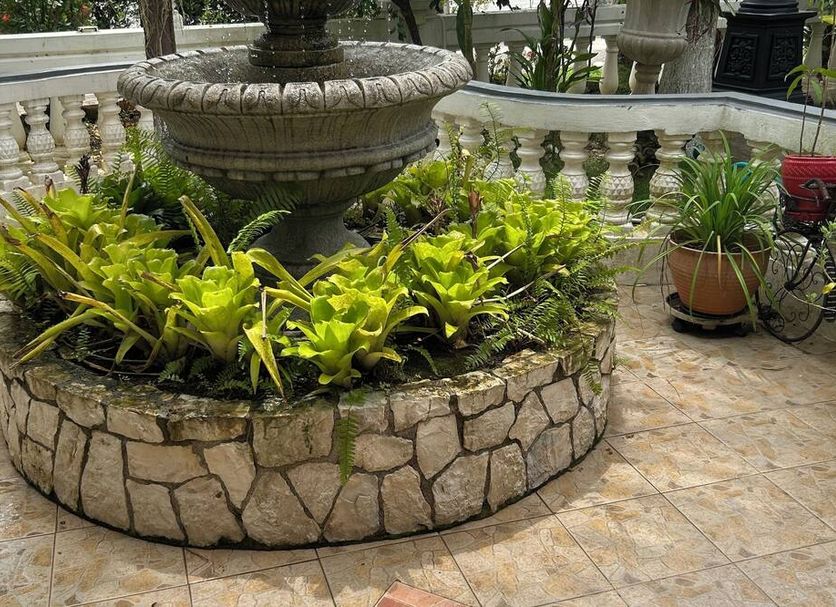 Khác Ảnh