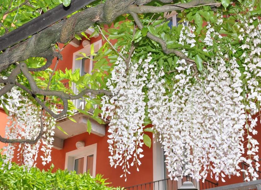 Cảnh ngoài trời Ảnh