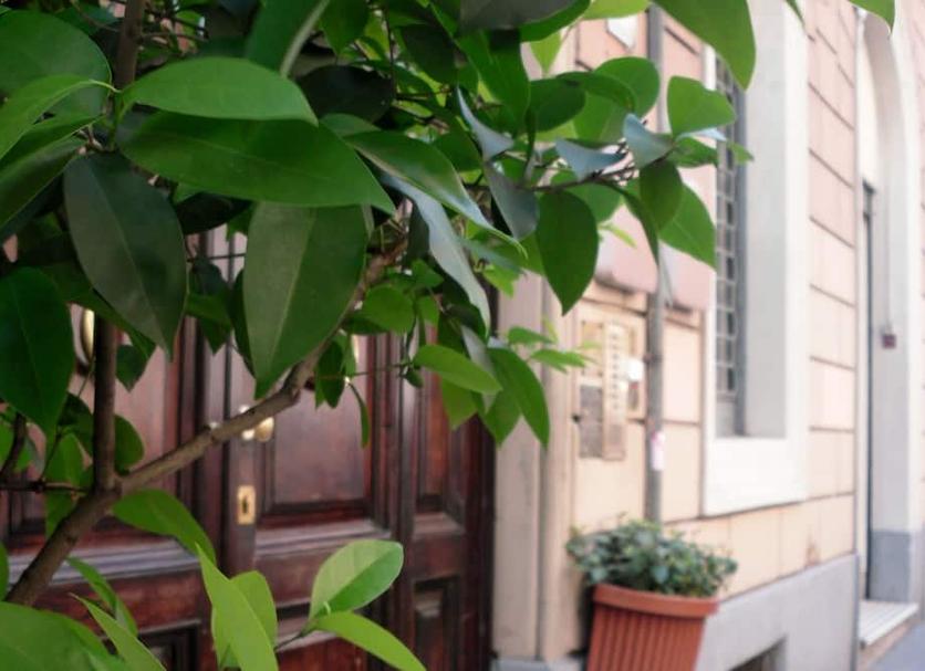 Cảnh ngoài trời Ảnh