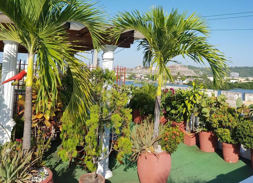 Cảnh ngoài trời Ảnh