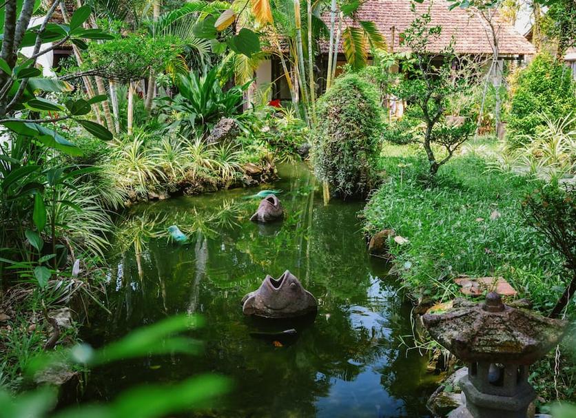 Cảnh ngoài trời Ảnh