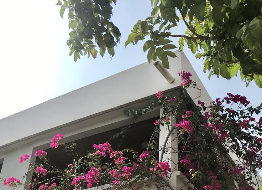 Cảnh ngoài trời Ảnh