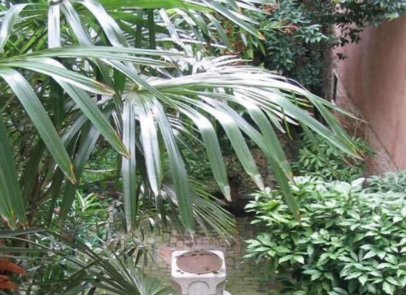Cảnh ngoài trời Ảnh