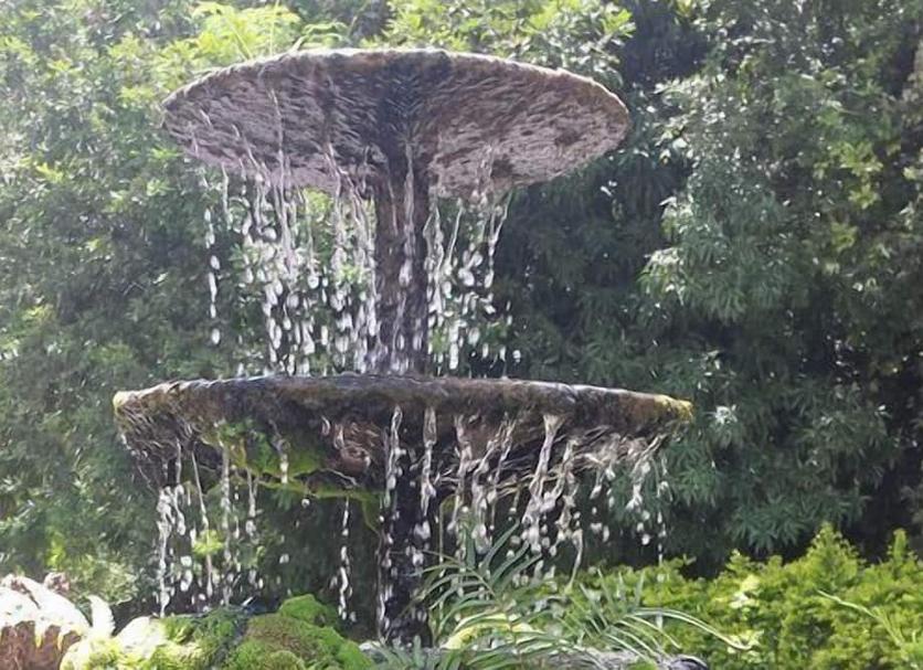 Toà nhà Ảnh