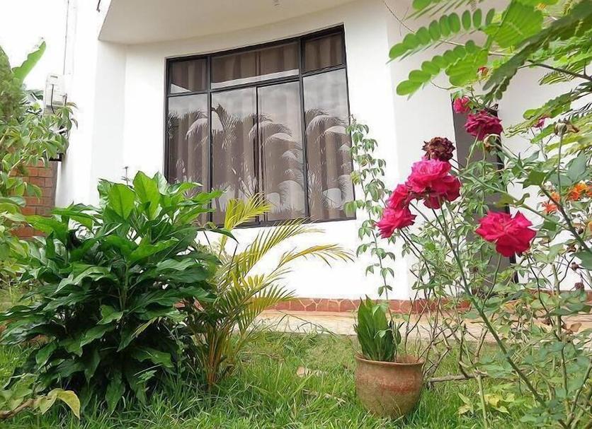 Cảnh ngoài trời Ảnh